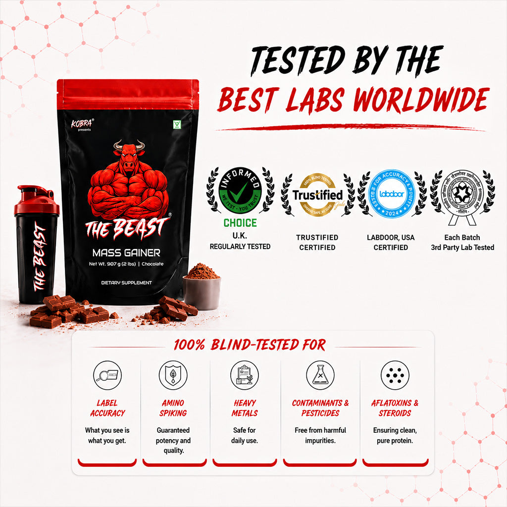 THE BEAST Mass Gainer Chocolate – 907g | Dietary Supplement for Weight & Muscle Gain