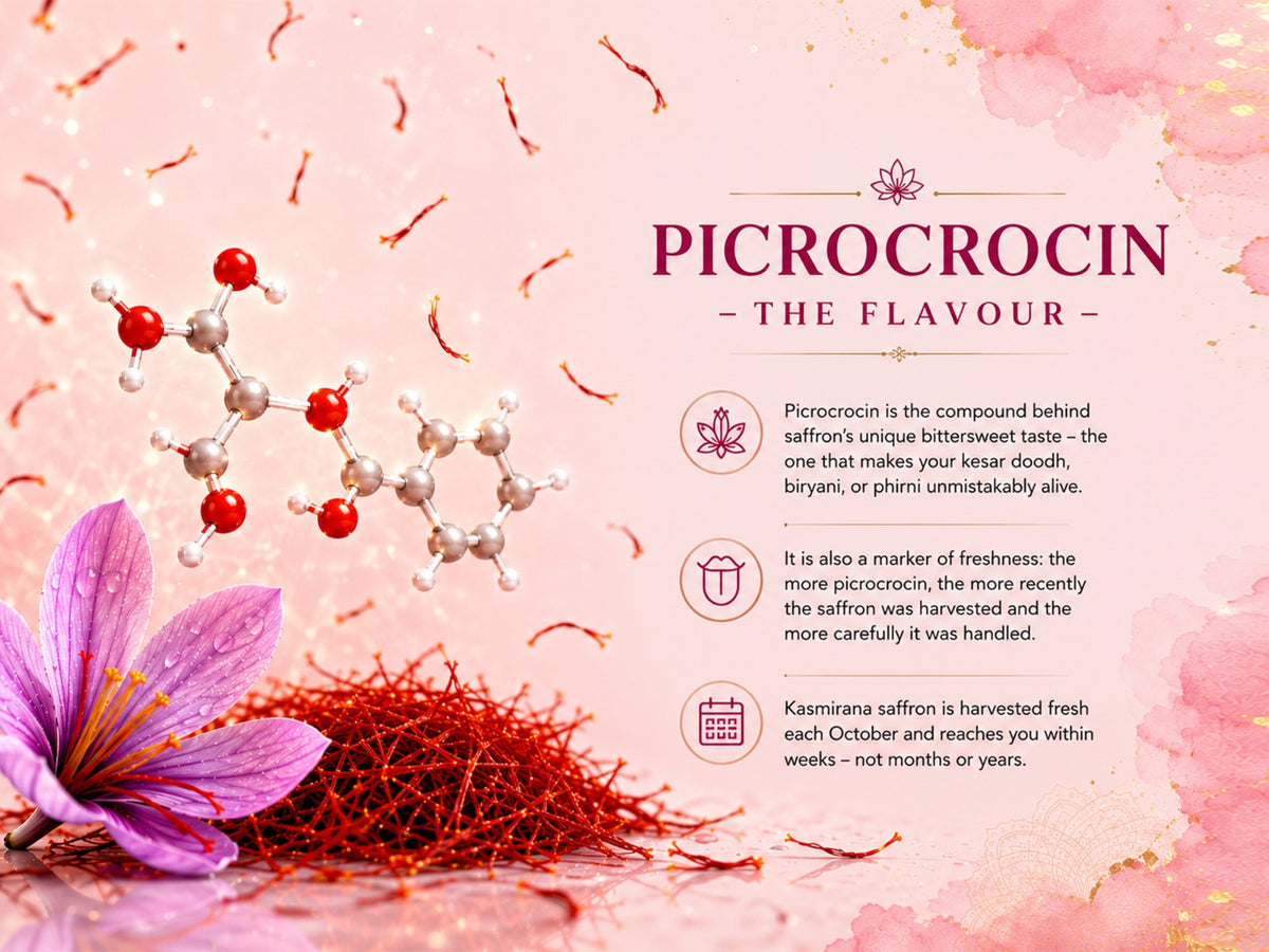 PICROCROCIN FLAVOUR